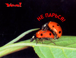 просто